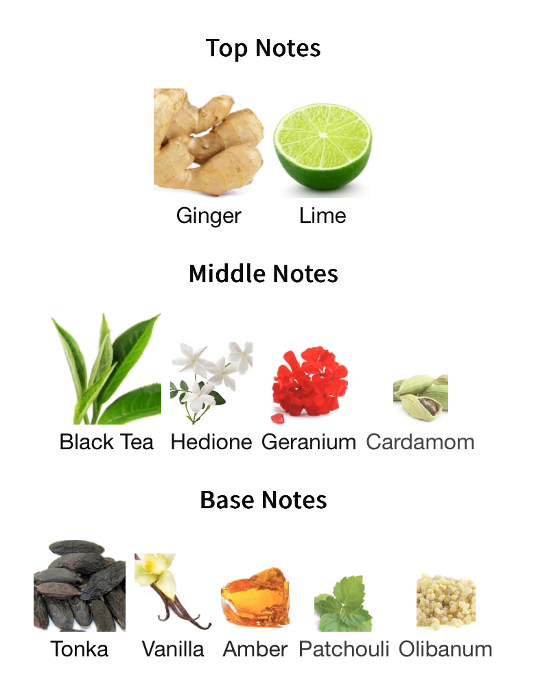 Teas Me - 1ml Sample Decant