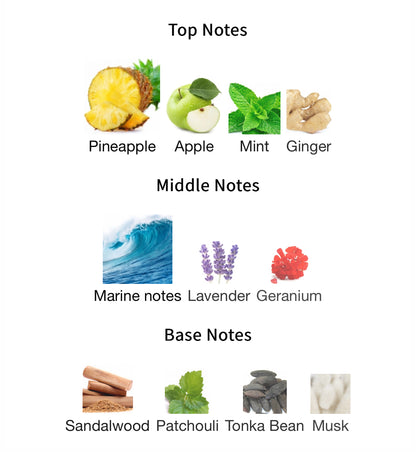 Najdia Intense - 1ml Sample Decant