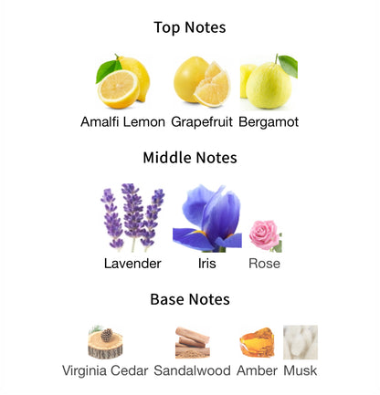 Mafesto - 1ml Sample Decant