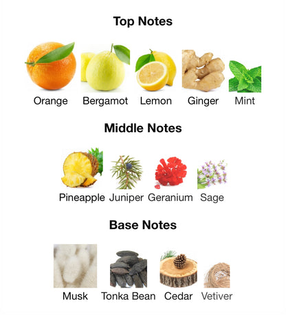 Odyssey Mega – 1ml Sample Decant
