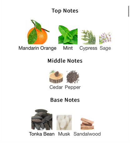 Alpine Homme Sport – 1ml Sample Decant