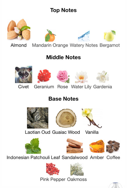 Detour Noir Exclusif – 1ml Sample Decant