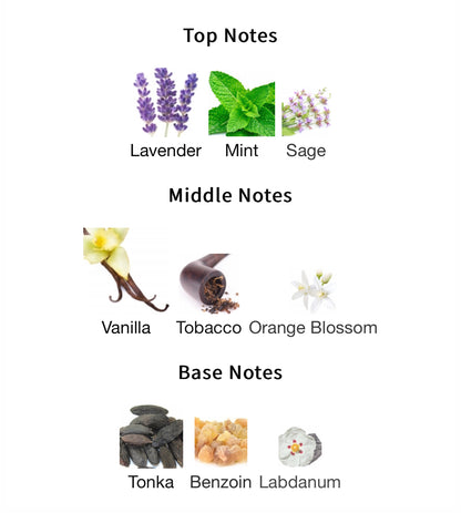 The Kingdom – 1ml Sample Decant