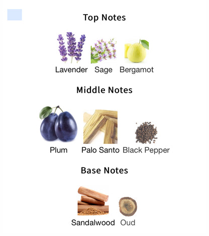 Vintage Radio - 1ml Sample Decant