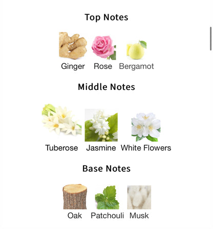 Amber Oud Ultra Violet – 1ml Sample Decant