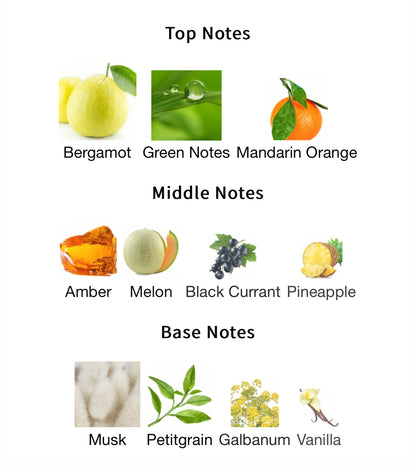 Amber Oud Aqua Dubai – 1ml Sample Decant