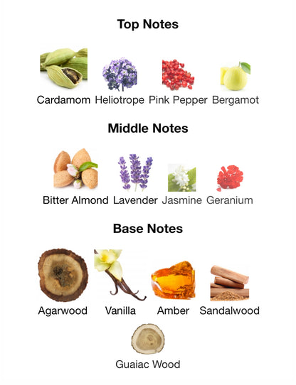 Detour Noir Intense – 1ml Sample Decant