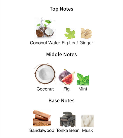 Hawas Tropical - 1ml Sample Decant