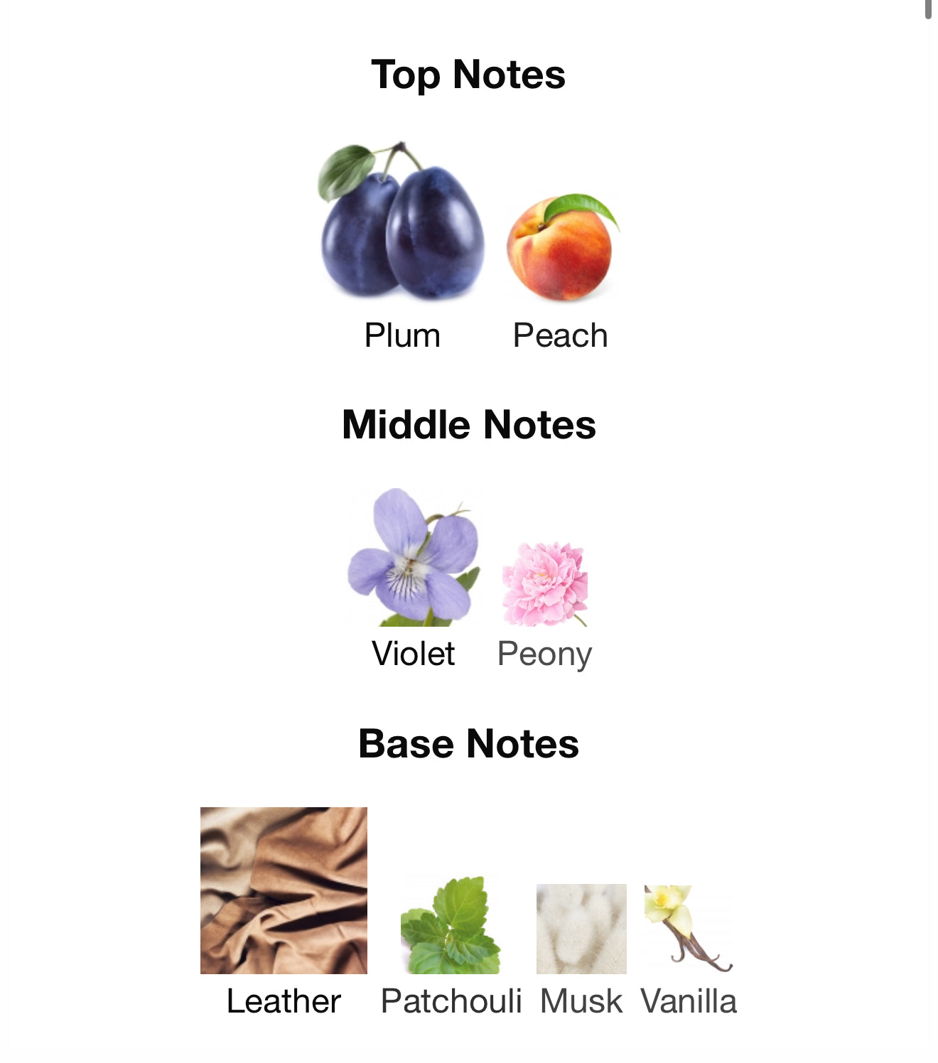 Berlinetta - 1ml Sample Decant