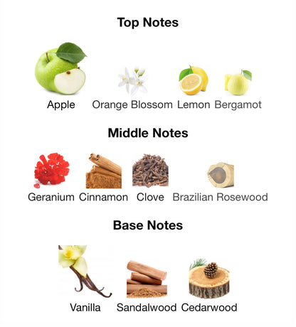 Pinnace Noir – 1ml Sample Decant