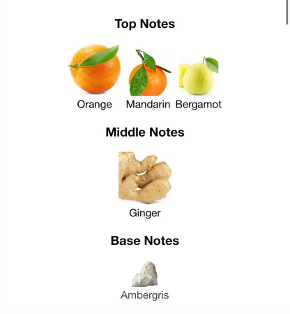 Pinnace Oryn – 1ml Sample Decant