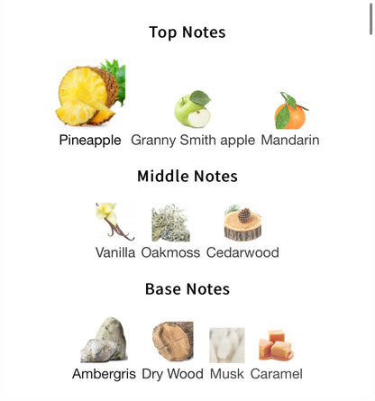 9PM Rebel - 1ml Sample Decant