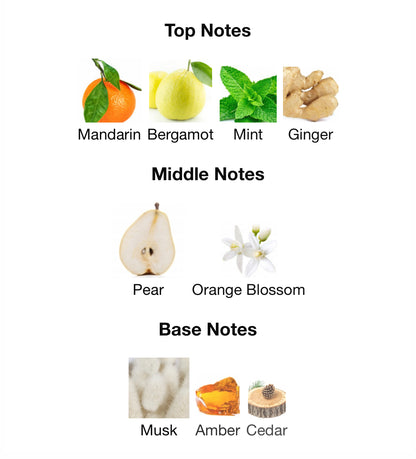 Art of Universe – 1ml Sample Decant