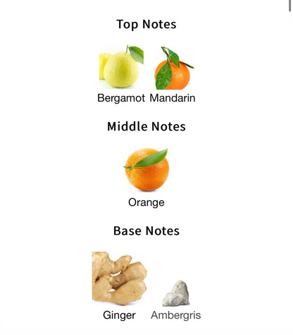 Jean Lowe Azure – 1ml Sample Decant