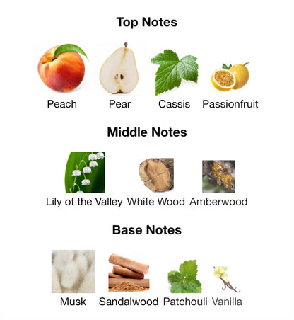 Private Key to My Love – 1ml Sample Decant