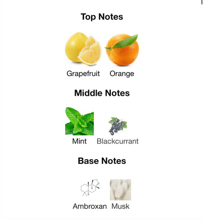 Pinnace White – 1ml Sample Decant