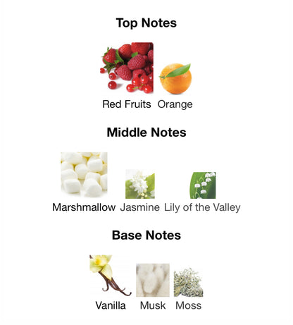 Now Pink – 1ml Sample Decant