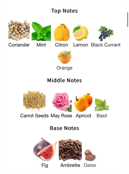 Jean Lowe Vibe – 1ml Sample Decant