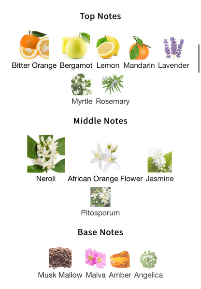 Neroli Riviera – 1ml Sample Decant