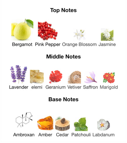 Club de Nuit Urban Man Elixir – 1ml Sample Decant