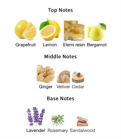 Dark Door Sport – 1ml Sample Decant