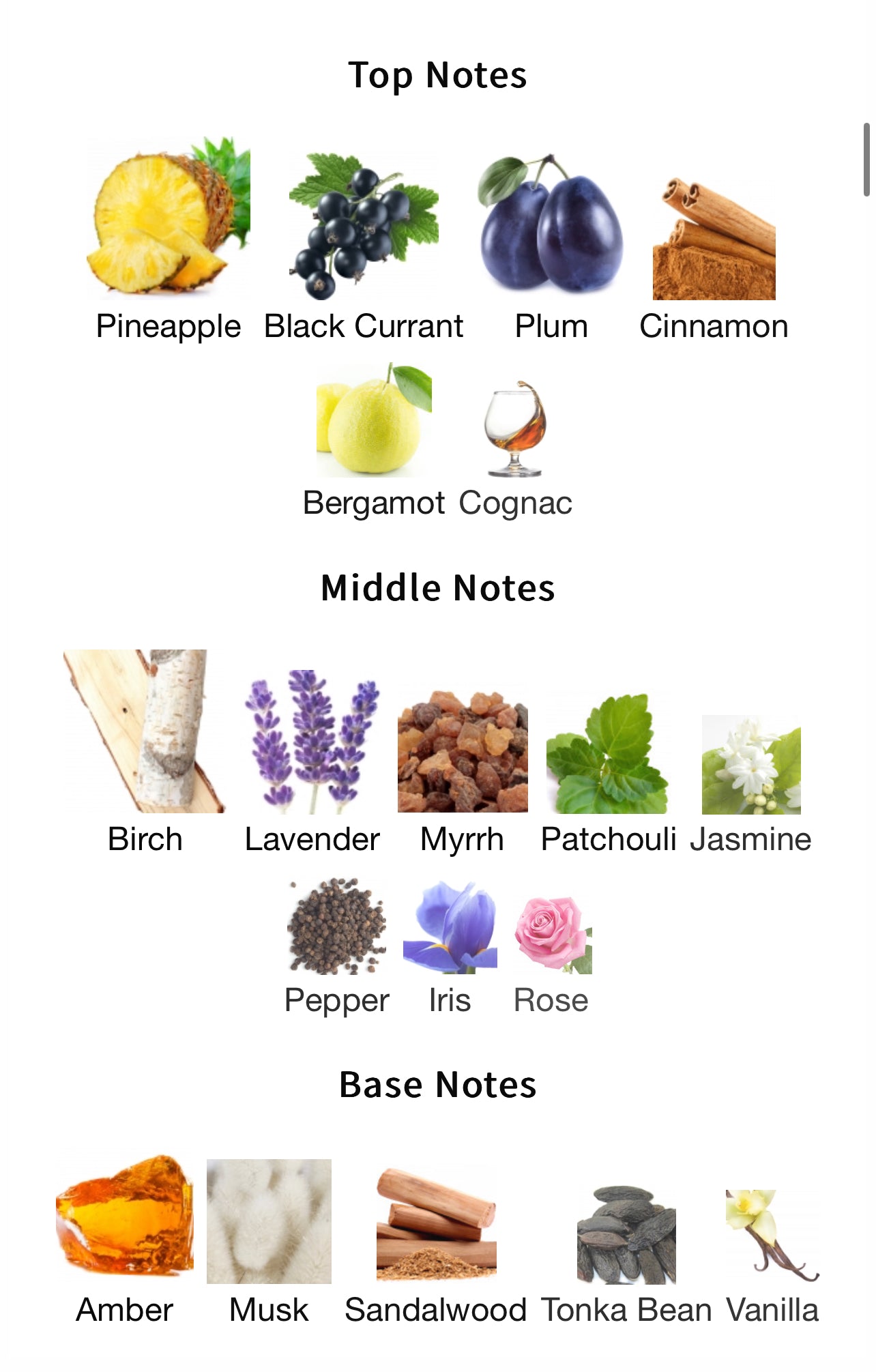 Nitro Intense – 1ml Sample Decant