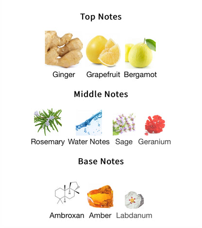 Jean Lowe Immortel – 1ml Sample Decant