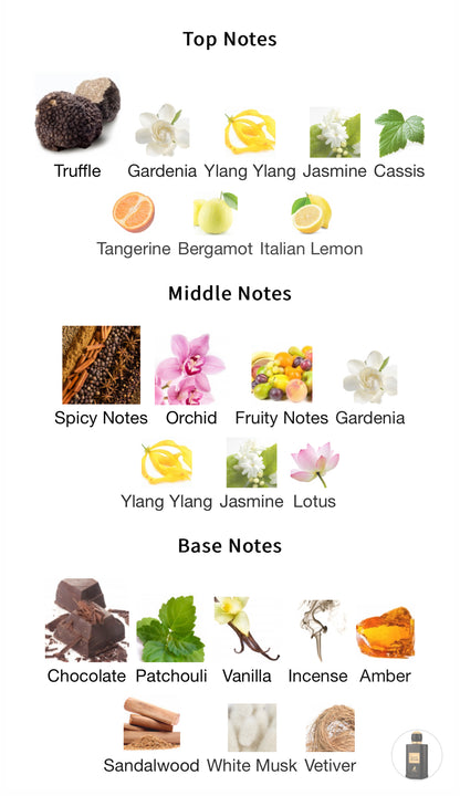 Black Origami – 1ml Sample Decant