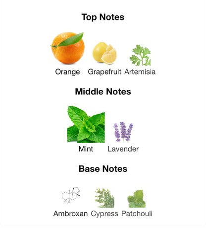 Odyssey Aqua – 1ml Sample Decant