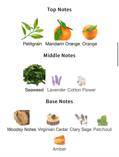 Aquilo Pour Homme – 1ml Sample Decant