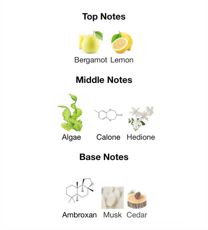 Megara – 1ml Sample Decant