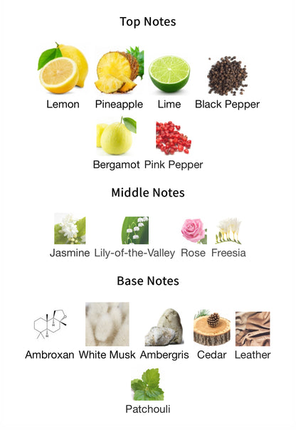 CDNIM Special Edition - 1ml Sample Decant
