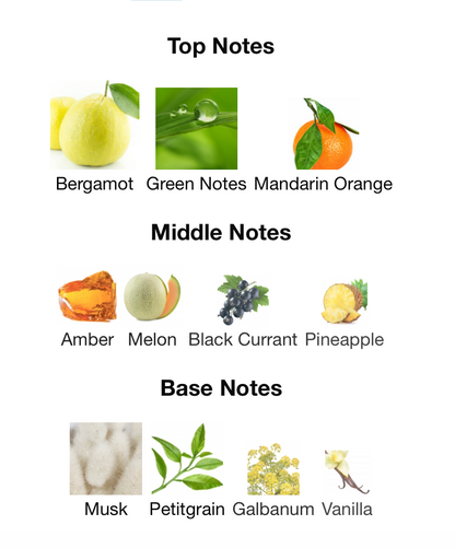 Rome Imagine - 1ml Sample Decant