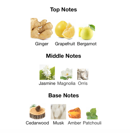 Philos Messenger - 1ml Sample Decant