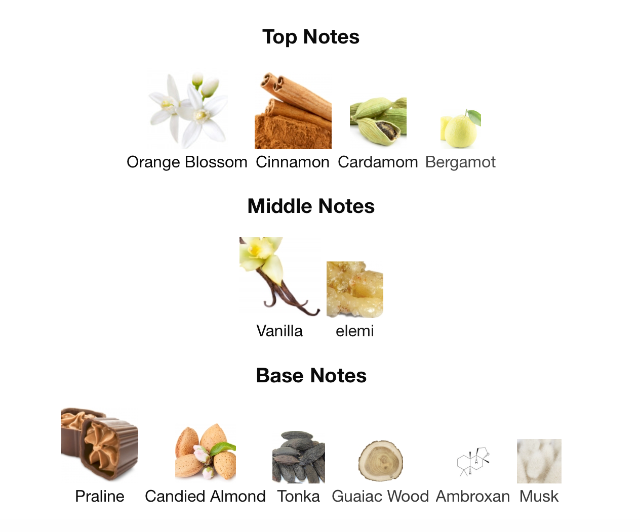 The Lion's Club Monarque - 1ml Sample Decant
