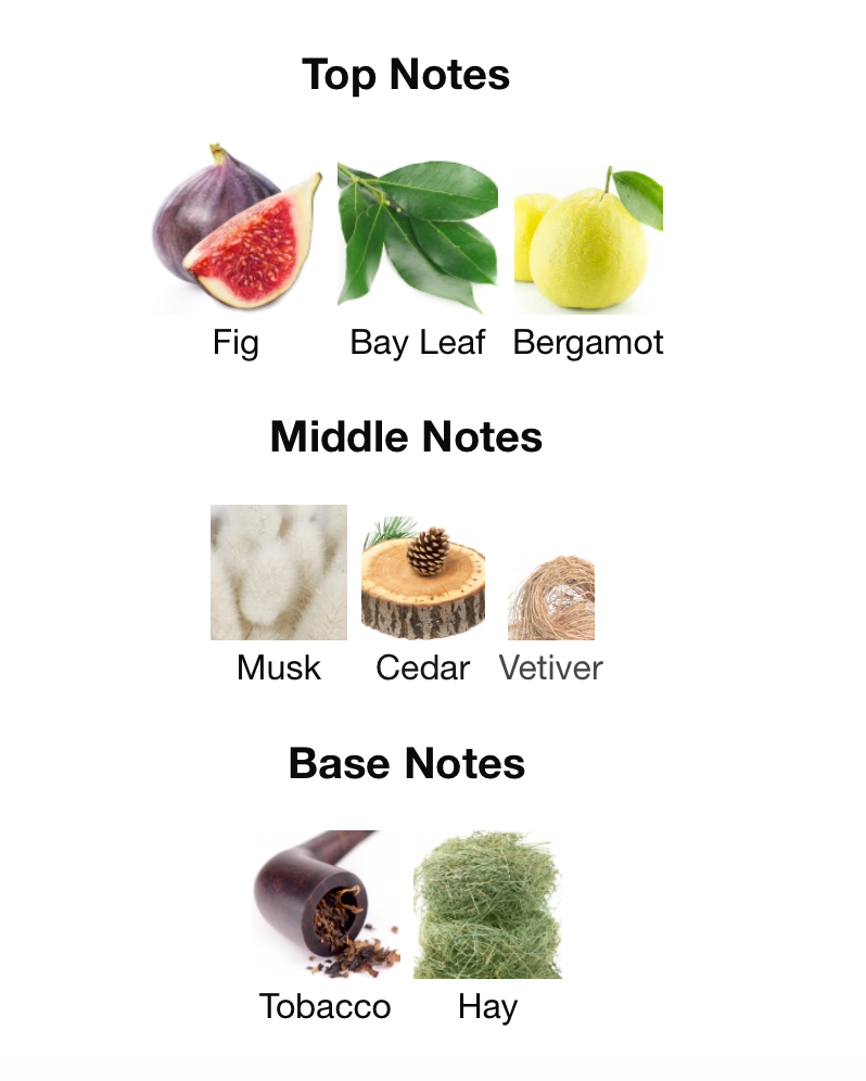 The Black 92 - 1ml Sample Decant