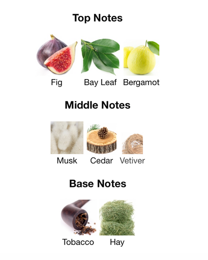 The Black 92 - 1ml Sample Decant