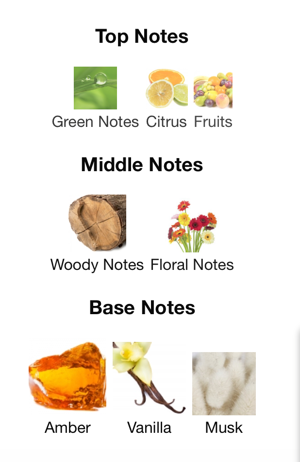 05 Domino Essence - 1ml Sample Decant