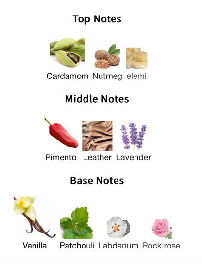 9PM Elixir - 1ml Sample Decant
