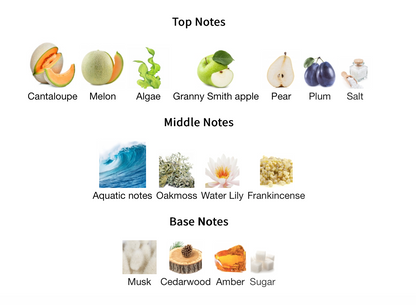 Odyssey Ba Ha Mas - 1ml Sample Decant