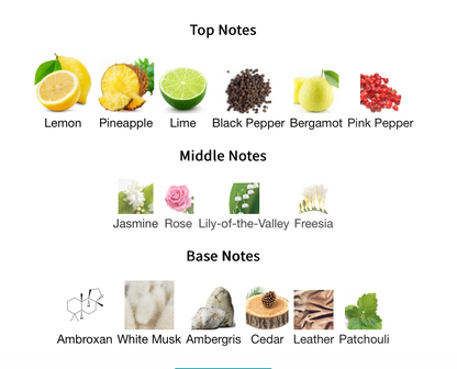 Club de Nuit Intense Man Limited Edition - 1ml Sample Decant