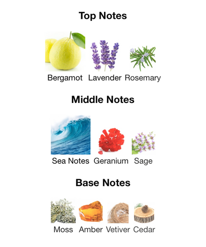 Amber Oud Carbon Edition - 1ml Sample Decant