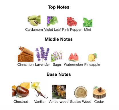 Your Touch - 1ml Sample Decant