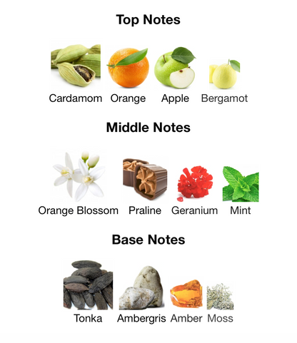 Nitro Elixir -  1ml Sample Decant