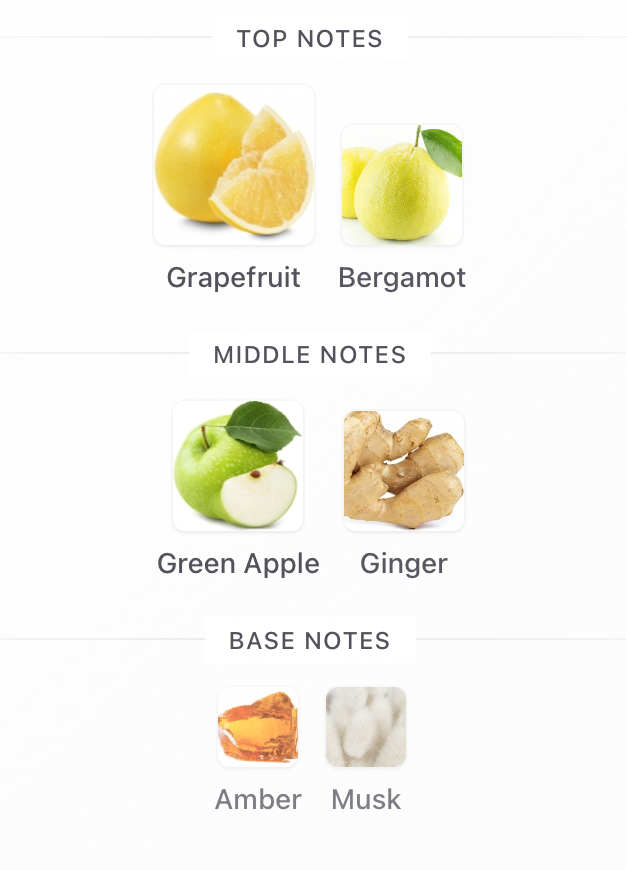 Mazaaj Rhythm by Zimaya