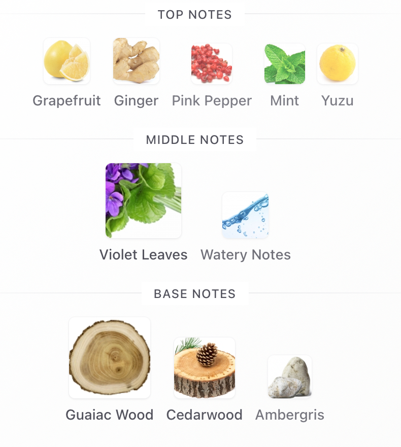 Dubai Night Umbra - 1ml Sample Decant