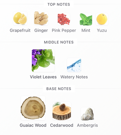 Dubai Night Umbra - 1ml Sample Decant