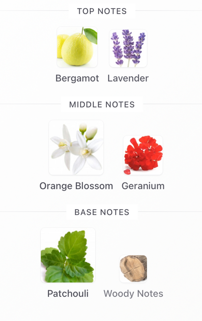 Dubai Nights Midnight - 1ml Sample Decant