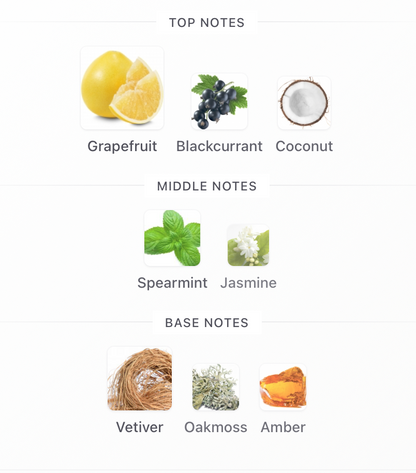 Safari Breeze - 1ml Sample Decant