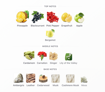 Vanguard - 1ml Sample Decant